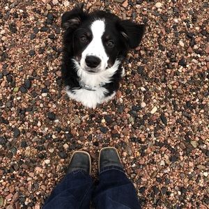 Meet your Posher, Caitlin